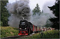 2006
